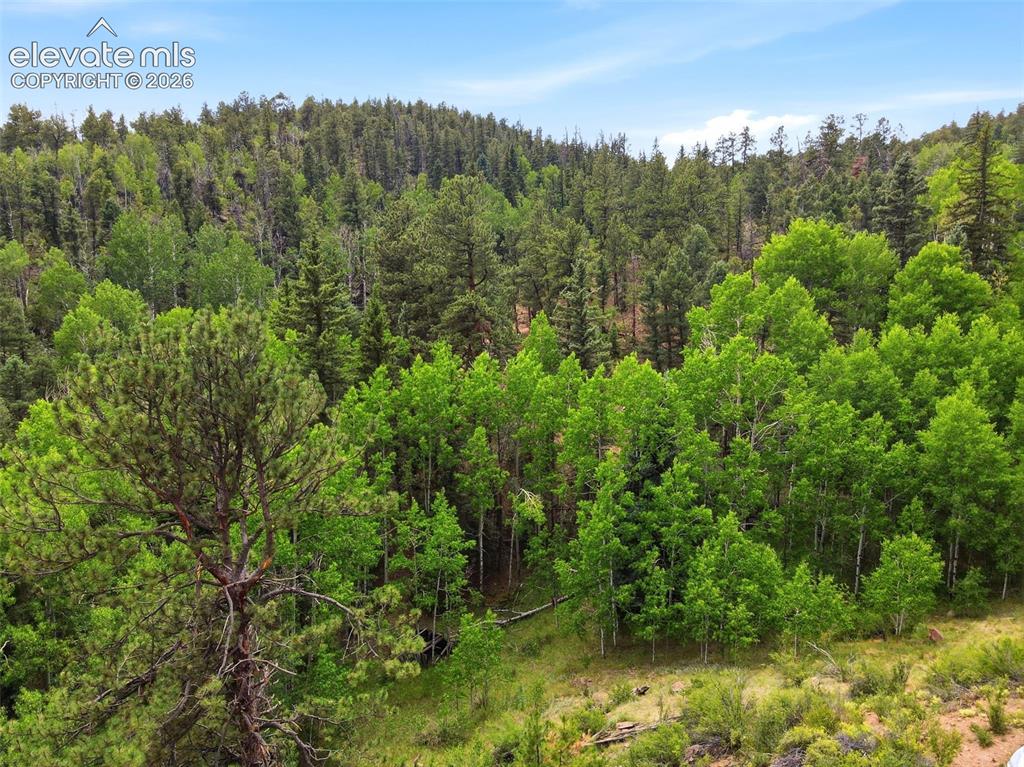1310 Park Ridge Drive Guffey CO 80820