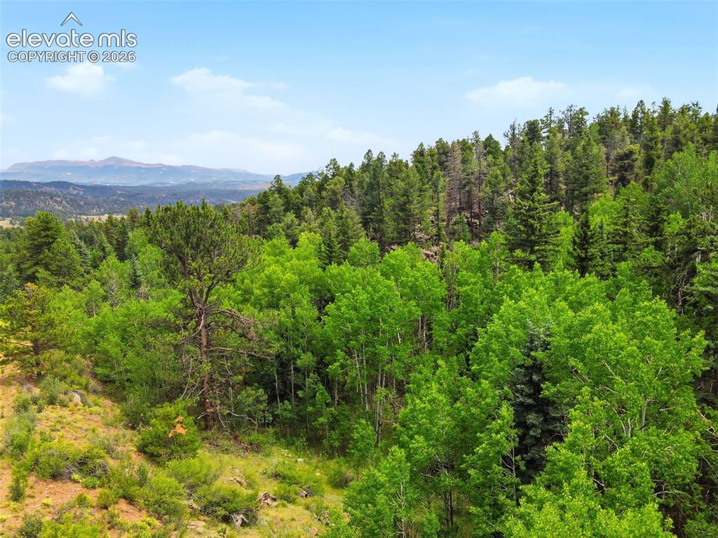 1310 Park Ridge Drive Guffey CO 80820