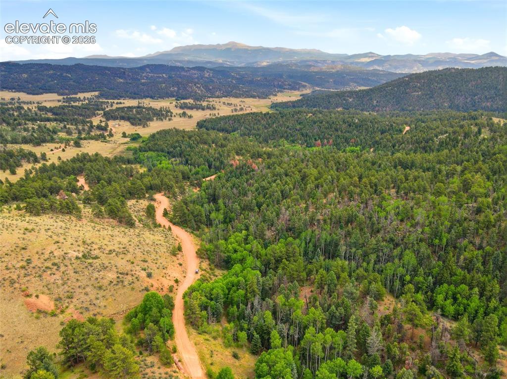 1310 Park Ridge Drive Guffey CO 80820