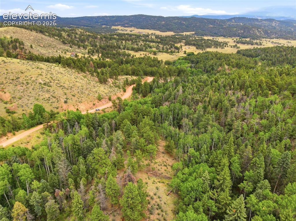 1310 Park Ridge Drive Guffey CO 80820