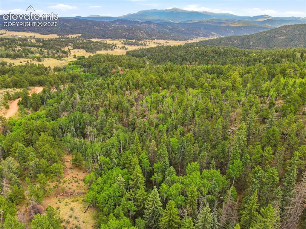 1310 Park Ridge Drive Guffey CO 80820