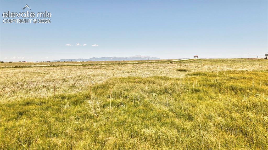 8007 Wrangler Ranch View Peyton CO 80831