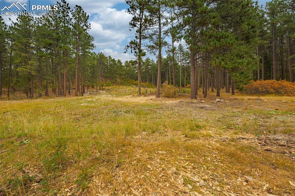 14420 S Perry Park Road Larkspur CO 80118