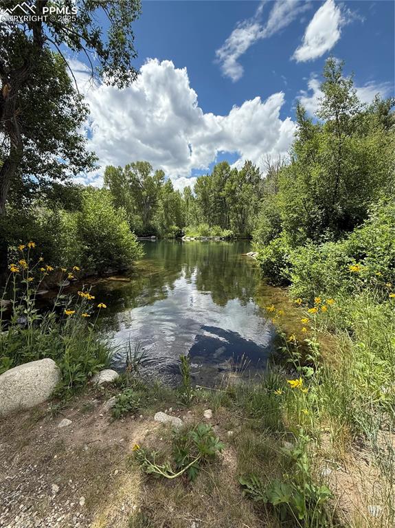17566 Trout Circle Buena Vista CO 81211