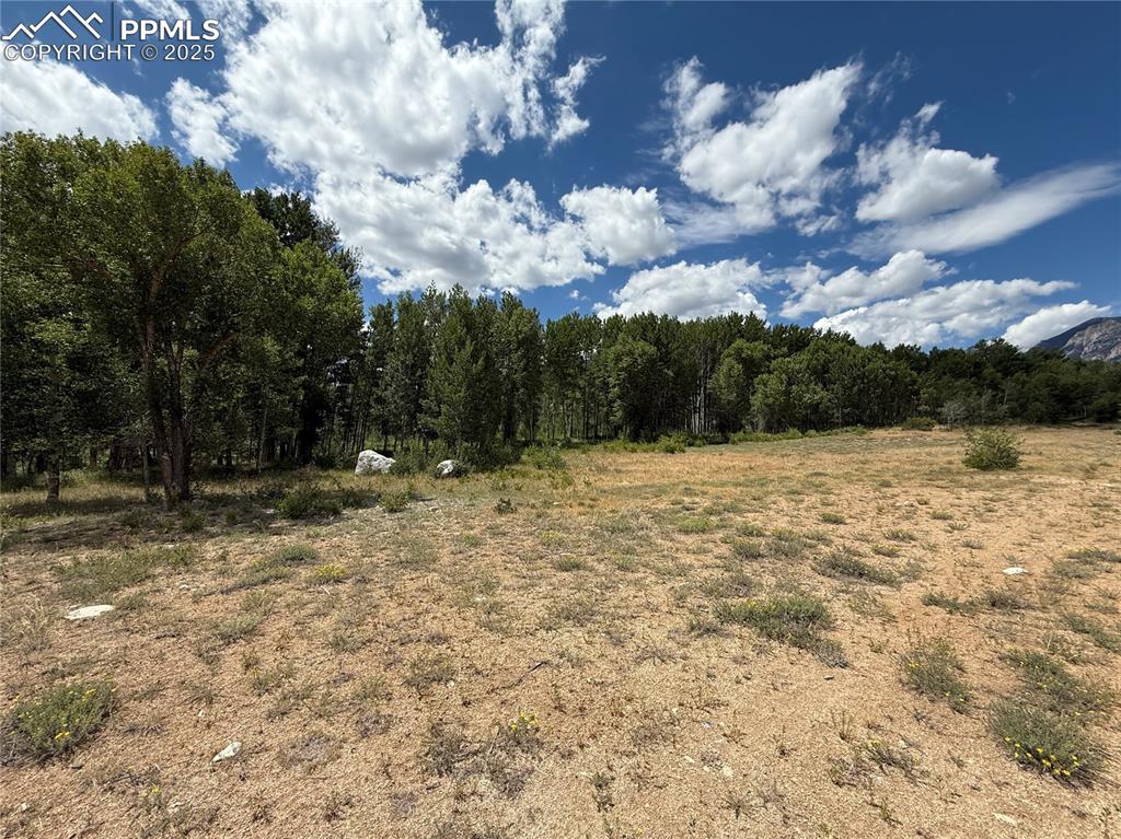 17566 Trout Circle Buena Vista CO 81211
