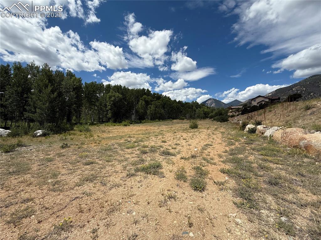 17566 Trout Circle Buena Vista CO 81211