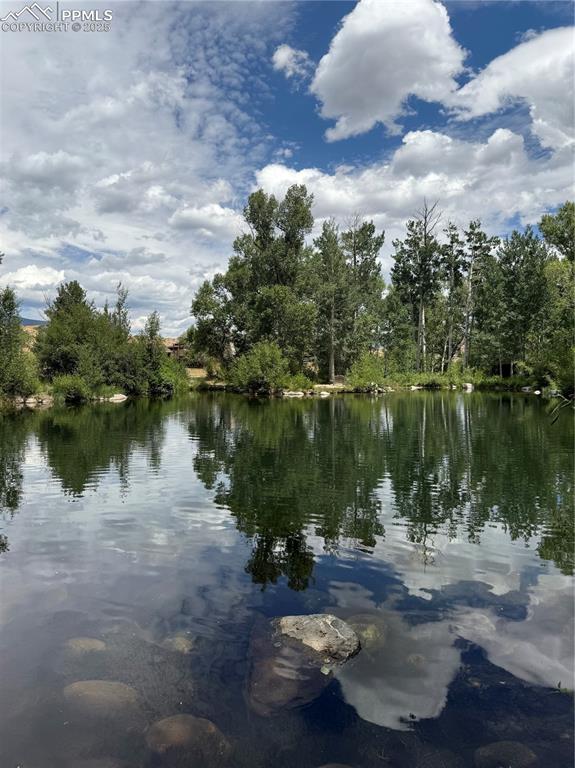 17566 Trout Circle Buena Vista CO 81211