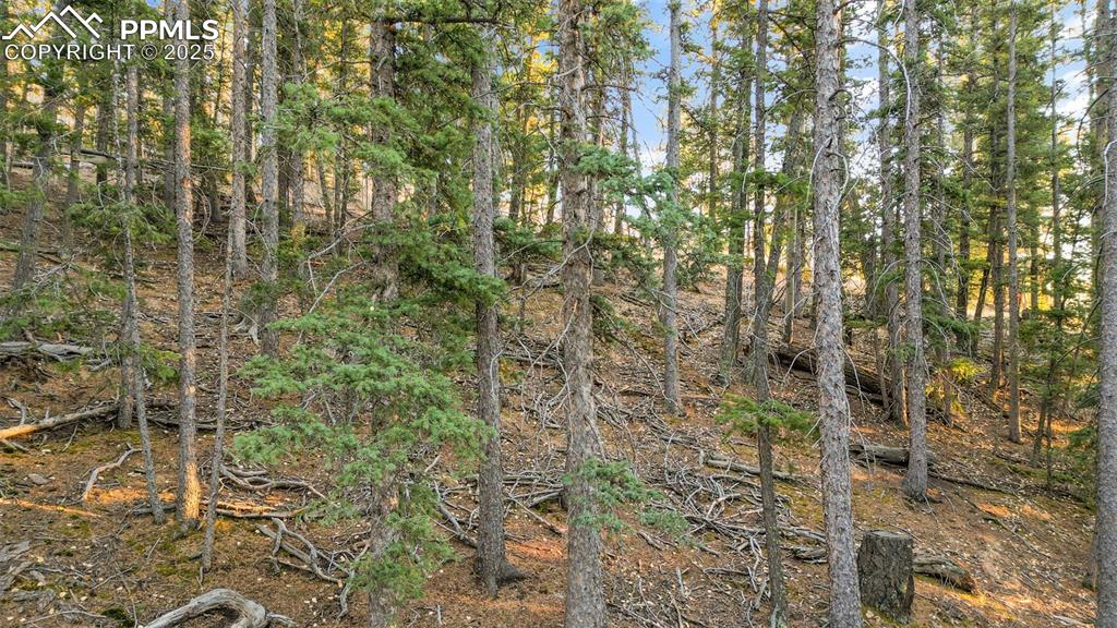 1289 Yorktown Road Cripple Creek CO 80813