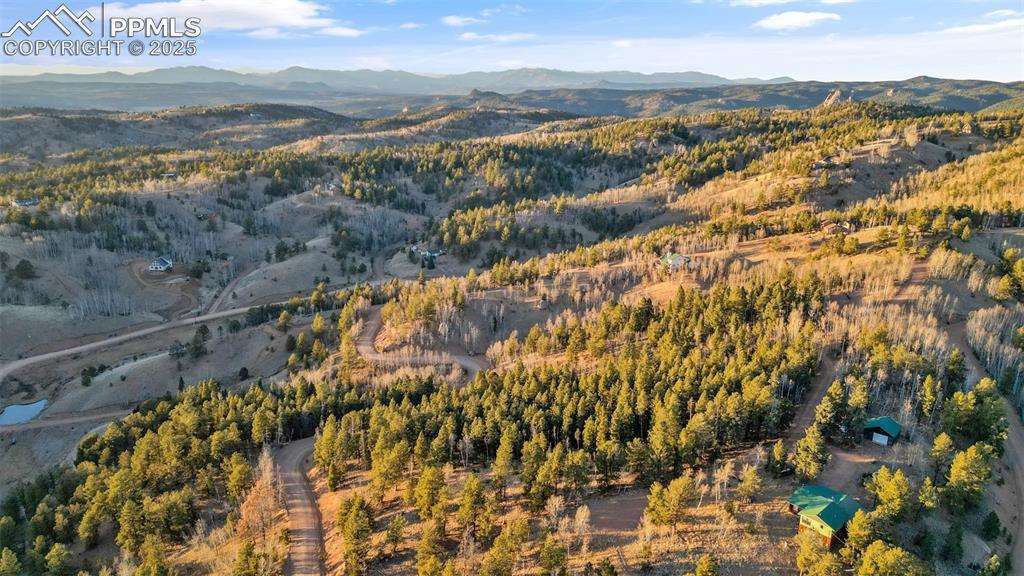 1289 Yorktown Road Cripple Creek CO 80813