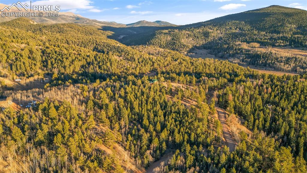1289 Yorktown Road Cripple Creek CO 80813