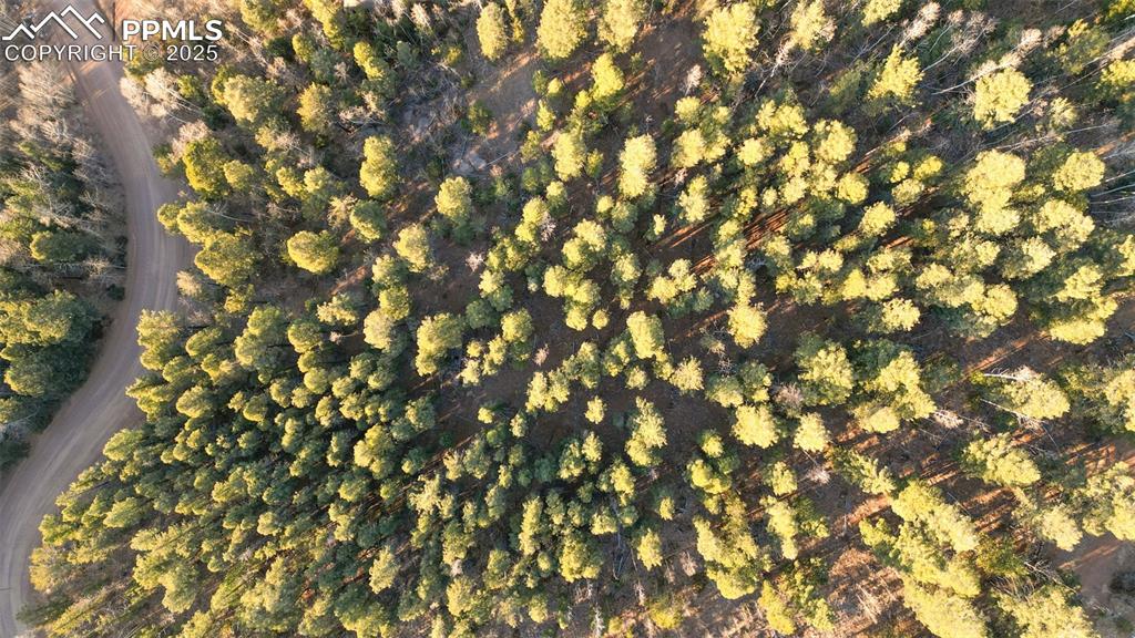 1289 Yorktown Road Cripple Creek CO 80813