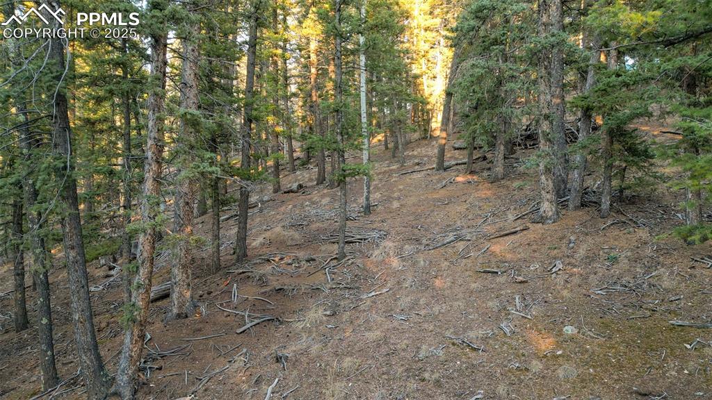 1289 Yorktown Road Cripple Creek CO 80813