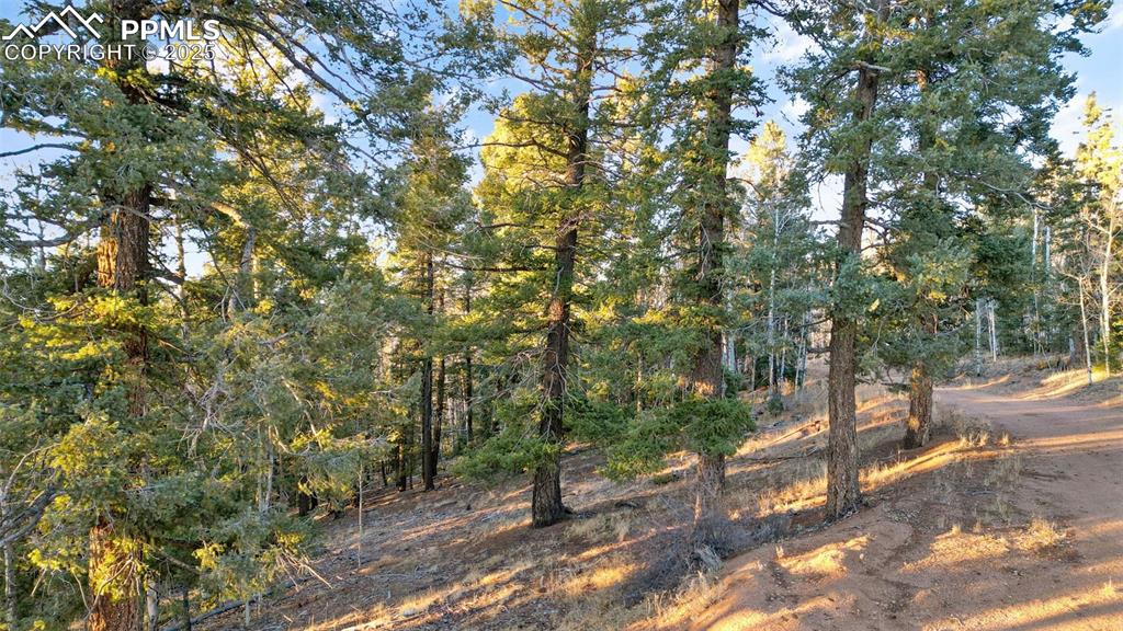 1289 Yorktown Road Cripple Creek CO 80813