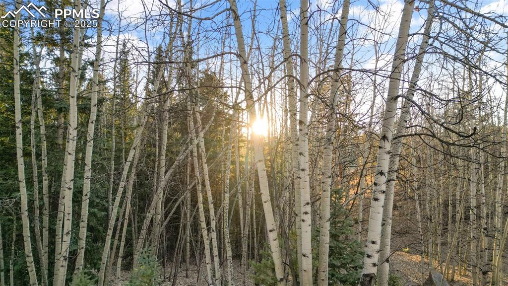 1289 Yorktown Road Cripple Creek CO 80813