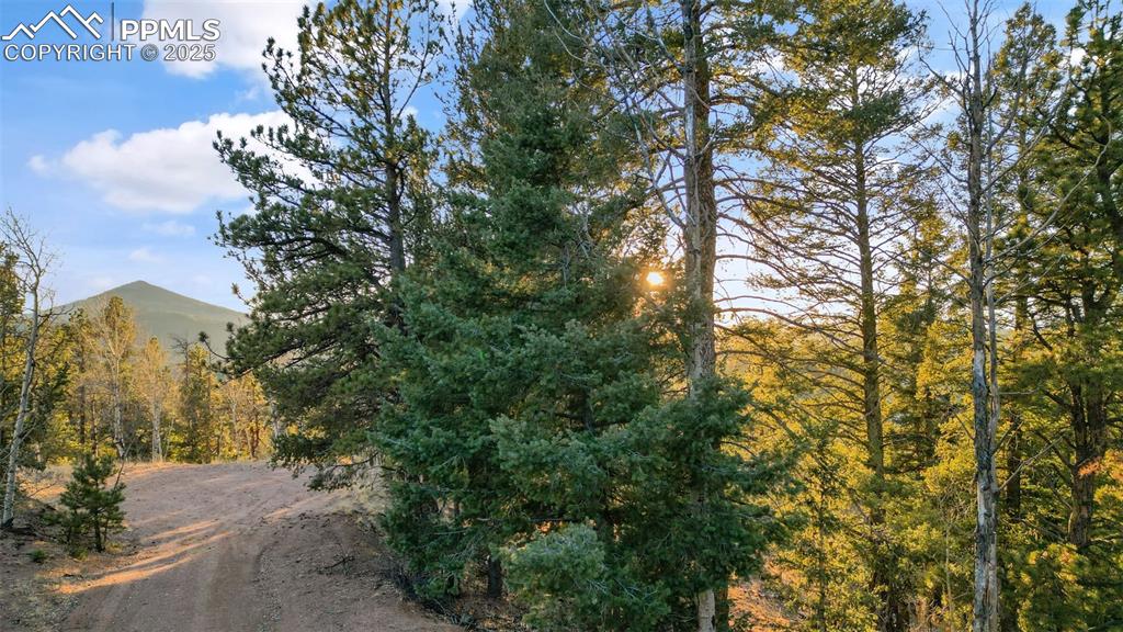 1289 Yorktown Road Cripple Creek CO 80813