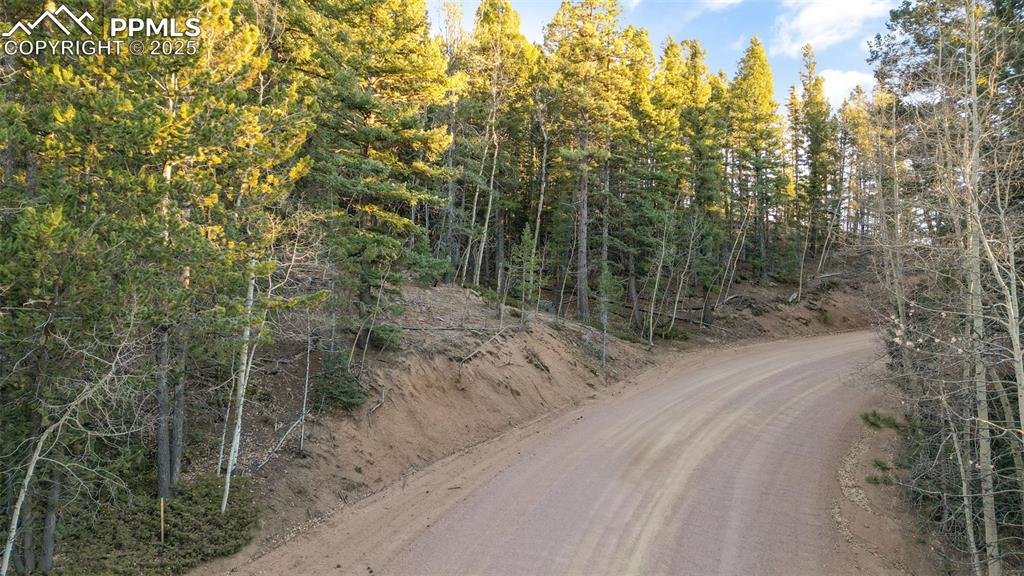 1289 Yorktown Road Cripple Creek CO 80813