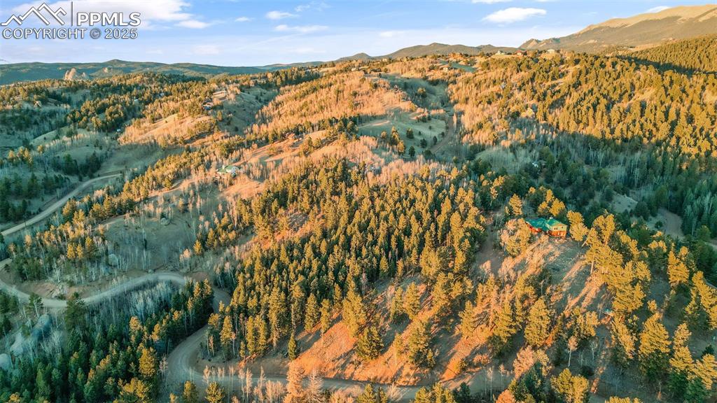 1289 Yorktown Road Cripple Creek CO 80813