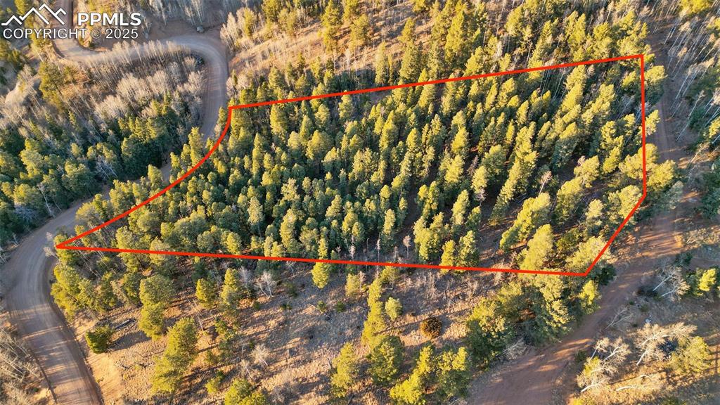 1289 Yorktown Road Cripple Creek CO 80813