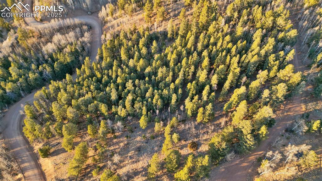 1289 Yorktown Road Cripple Creek CO 80813
