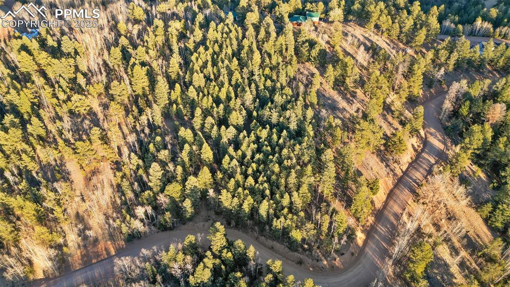 1289 Yorktown Road Cripple Creek CO 80813