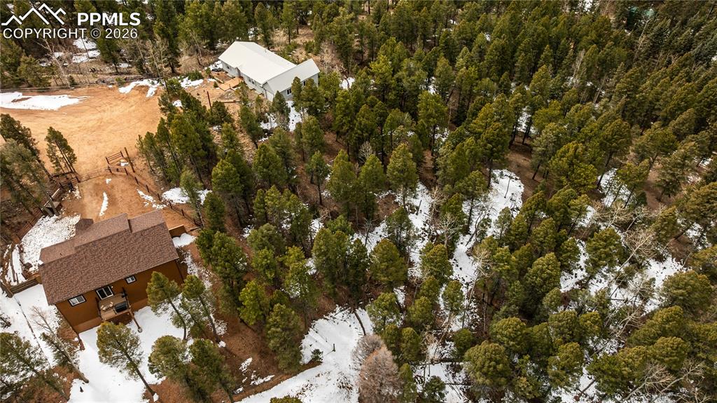 43 Dusti Circle Florissant CO 80816