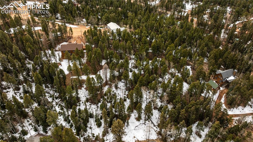 43 Dusti Circle Florissant CO 80816