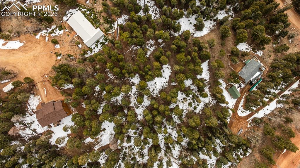 43 Dusti Circle Florissant CO 80816