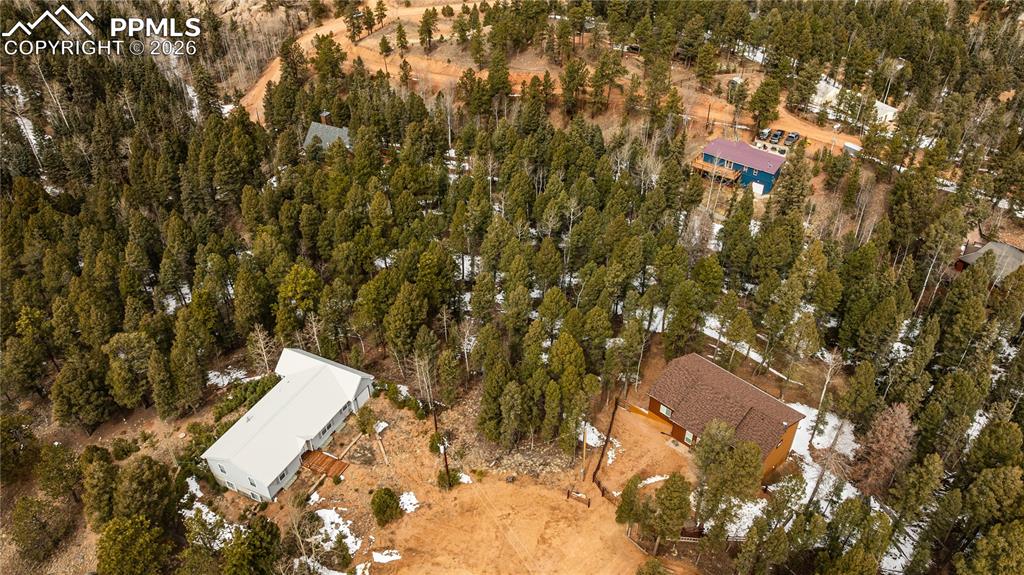 43 Dusti Circle Florissant CO 80816