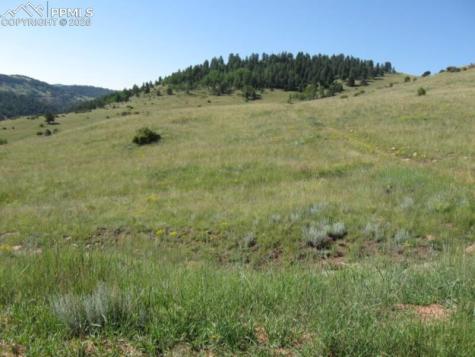 Lot 9-10 Shideler Avenue Cripple Creek CO 80813