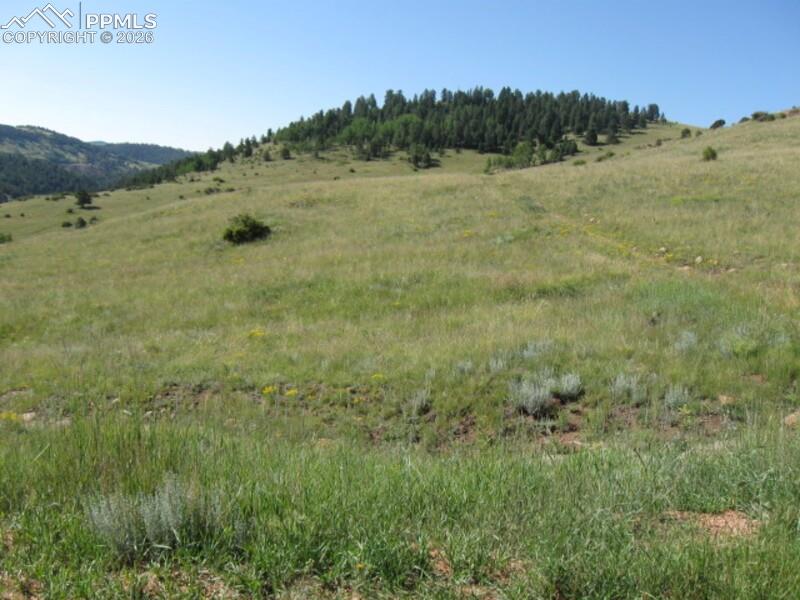 Lot 9-10 Shideler Avenue Cripple Creek CO 80813