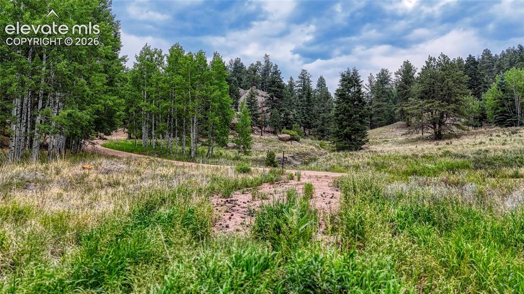 830 Pinon Lane Florissant CO 80816