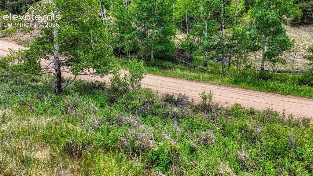 830 Pinon Lane Florissant CO 80816