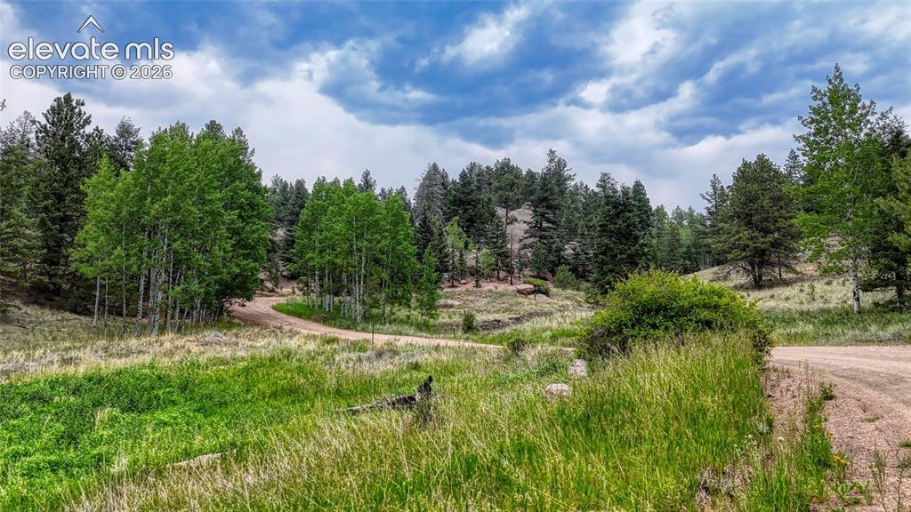 830 Pinon Lane Florissant CO 80816