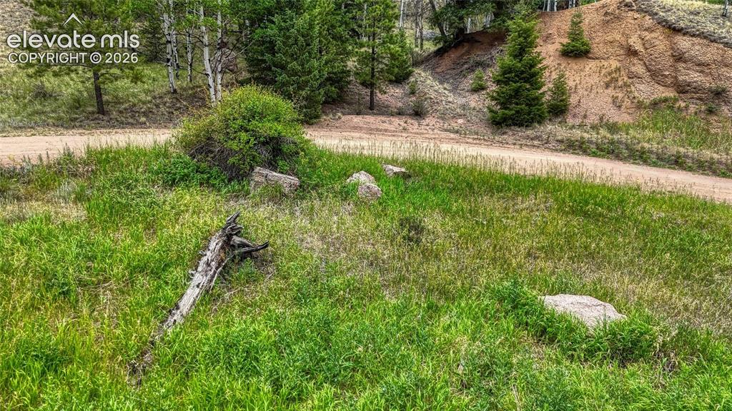 830 Pinon Lane Florissant CO 80816