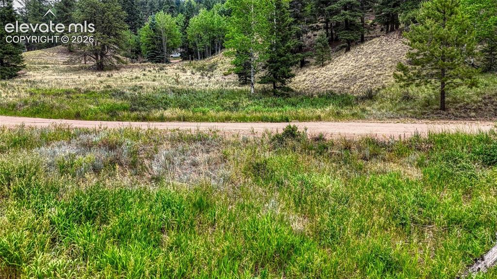 830 Pinon Lane Florissant CO 80816