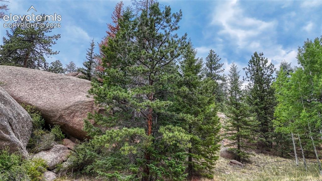 830 Pinon Lane Florissant CO 80816