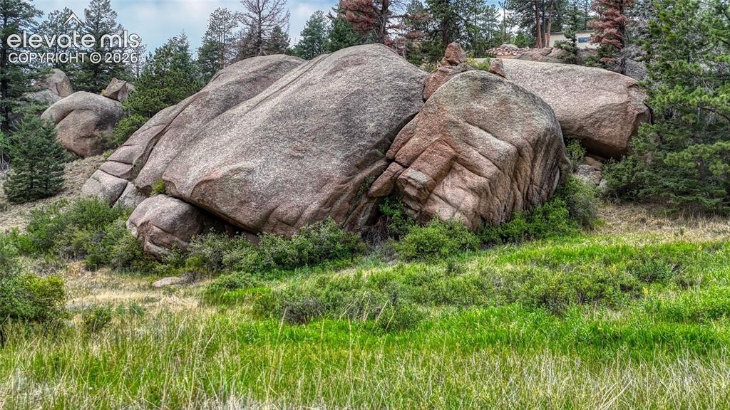 830 Pinon Lane Florissant CO 80816