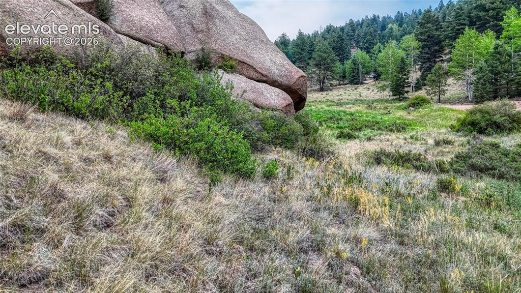 830 Pinon Lane Florissant CO 80816