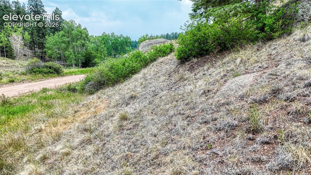 830 Pinon Lane Florissant CO 80816