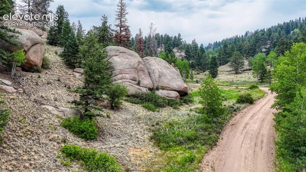 830 Pinon Lane Florissant CO 80816