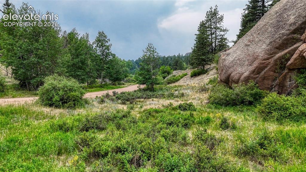 830 Pinon Lane Florissant CO 80816
