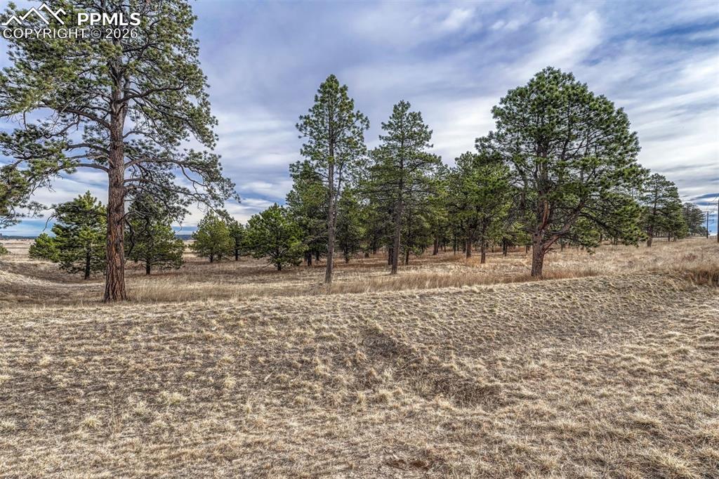 16511 Early Light Drive Colorado Springs CO 80908