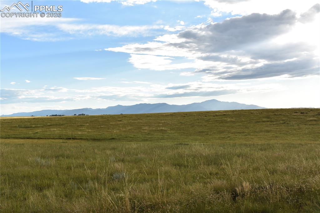18166 Prairie Coach View Colorado Springs CO 80930