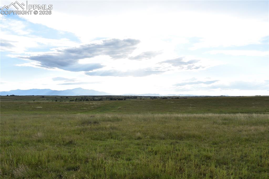 18166 Prairie Coach View Colorado Springs CO 80930