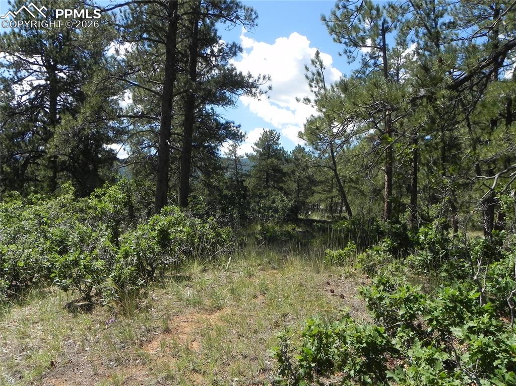 4144 Cheyenne Drive Larkspur CO 80118