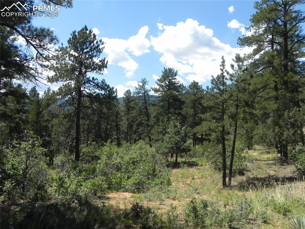 4144 Cheyenne Drive Larkspur CO 80118