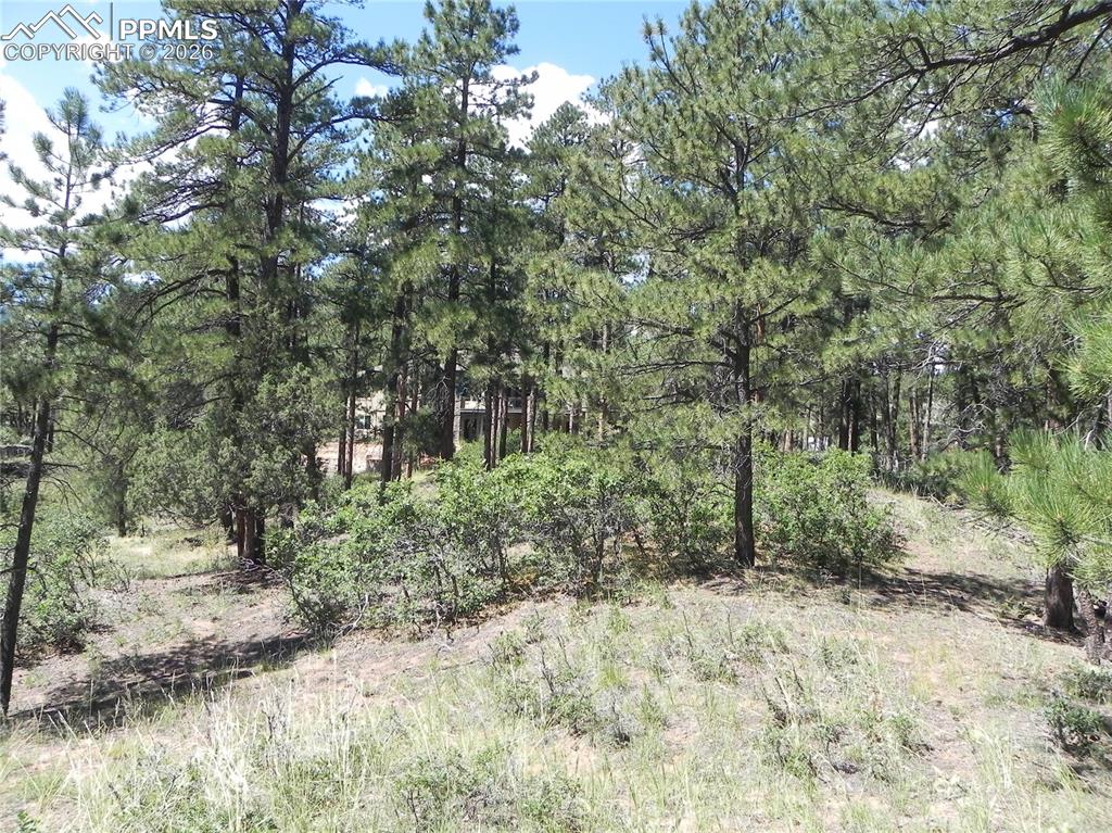 4144 Cheyenne Drive Larkspur CO 80118