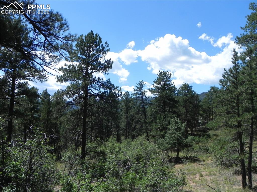 4144 Cheyenne Drive Larkspur CO 80118