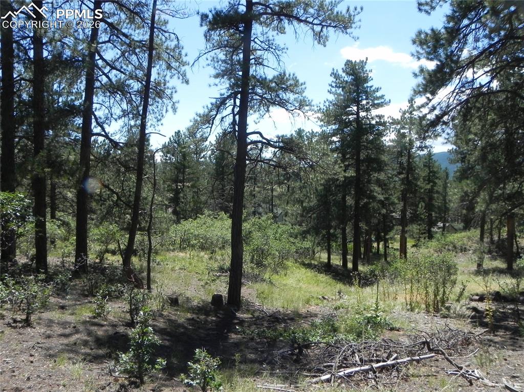 4144 Cheyenne Drive Larkspur CO 80118