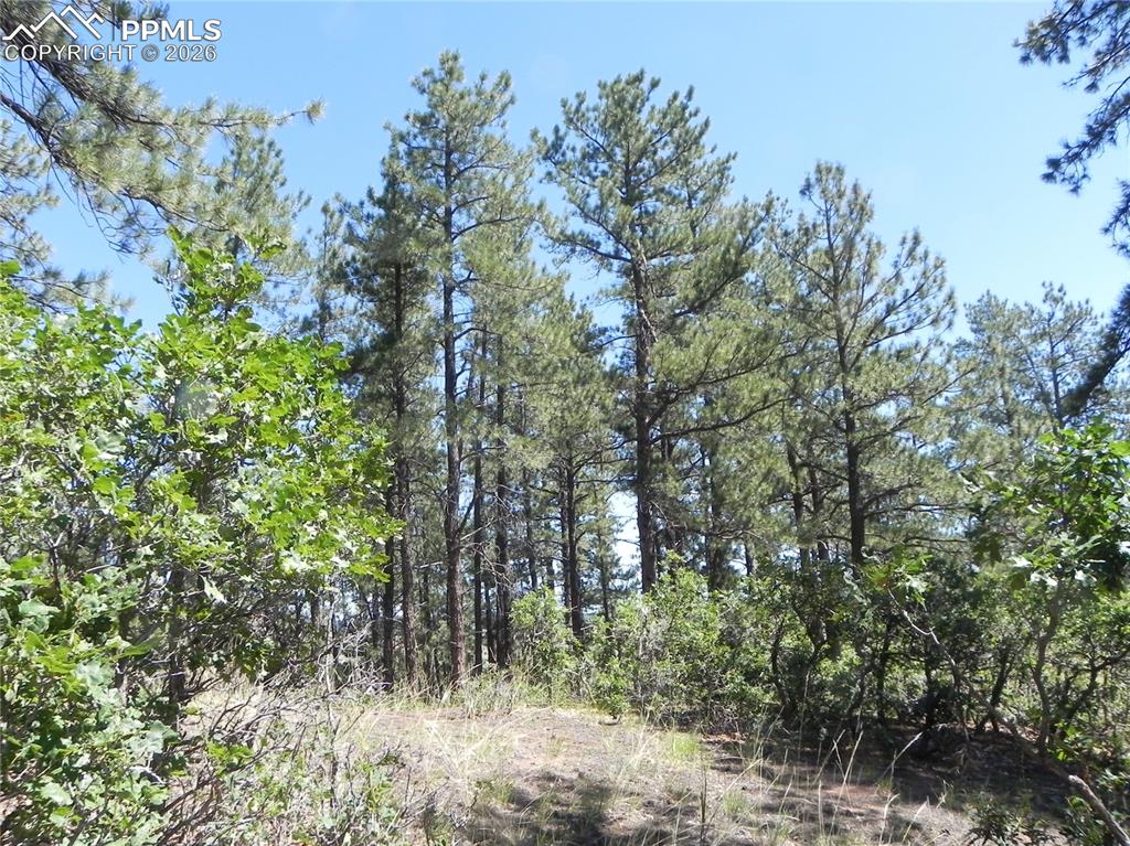 4144 Cheyenne Drive Larkspur CO 80118